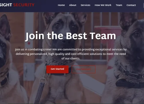 INSIGHT SECURITY